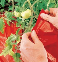 Super Red Mulch