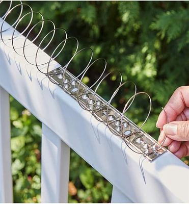 Coil Bird Deterrent