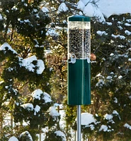 Pole-Mounted Squirrel-Proof Bird Feeder
