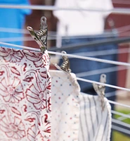 Lifetime Clothespins