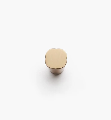 LaForge Knob