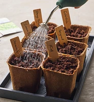 Make It Yourself Herbal Tea Garden Kit