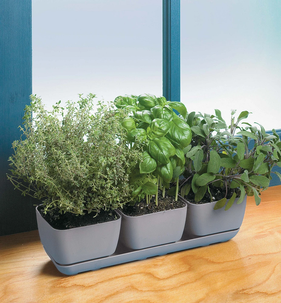 Herb Planter Set