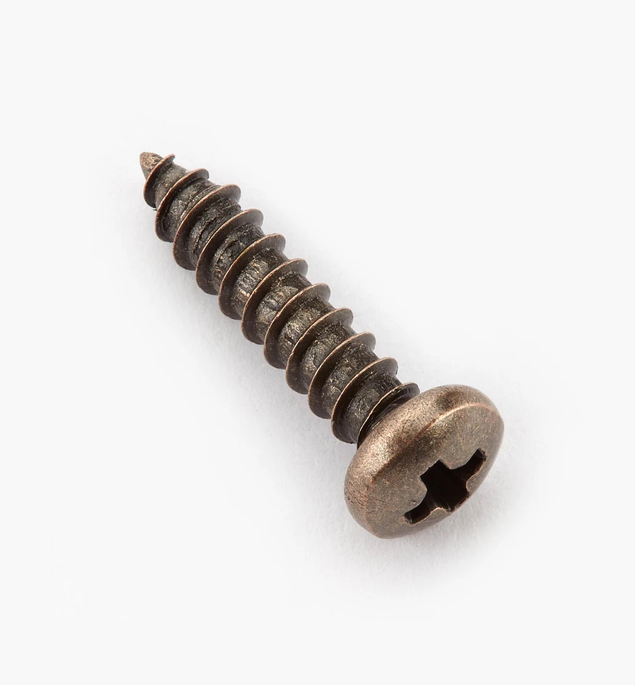 Finished Steel Screws