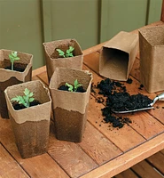 Pots d’enracinement