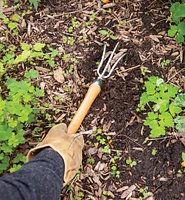 Lee Valley Mid-Length Three-Prong Cultivator