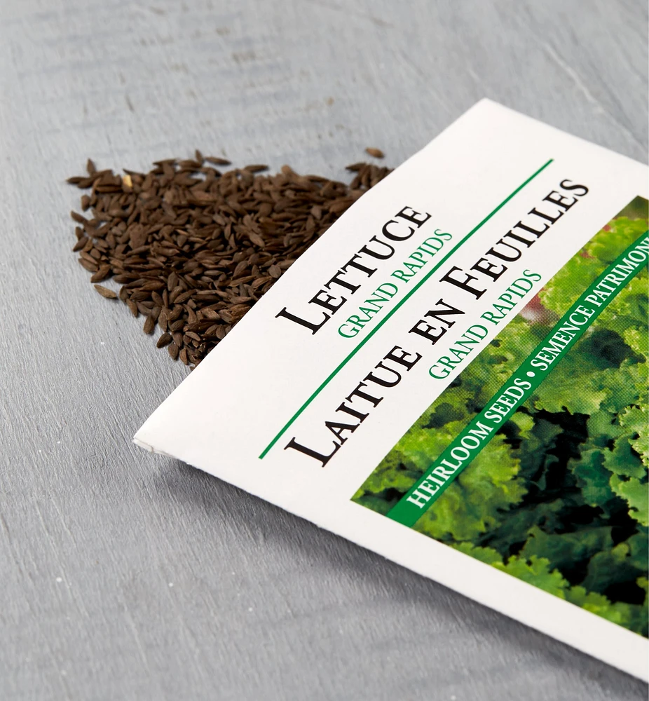 Sachets de semences légumes-feuilles OSC