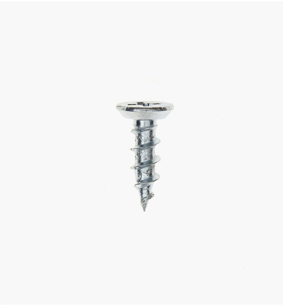 Zinc-Plated Hinge Screws