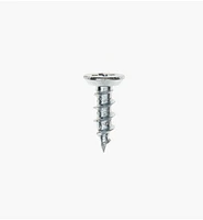 Zinc-Plated Hinge Screws