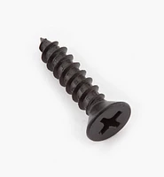 Finished Steel Screws