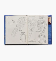 Birds of Prey, Blue Ribbon Techniques