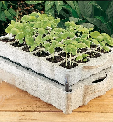 Lee Valley Self-Watering Seed Starter