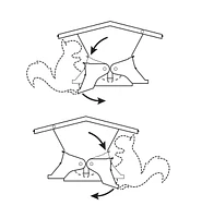 Double-Sided Large Squirrel-Resistant Feeder