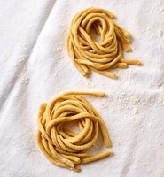 Marcato Pasta Extruder