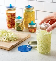 Fermenting for Beginners