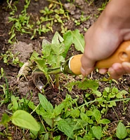 Lee Valley One-Prong Cultivator