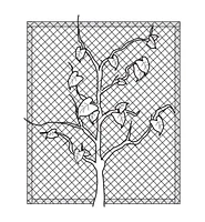 Garden Netting