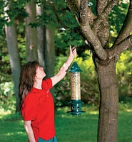 Squirrel Buster Plus Bird Feeder
