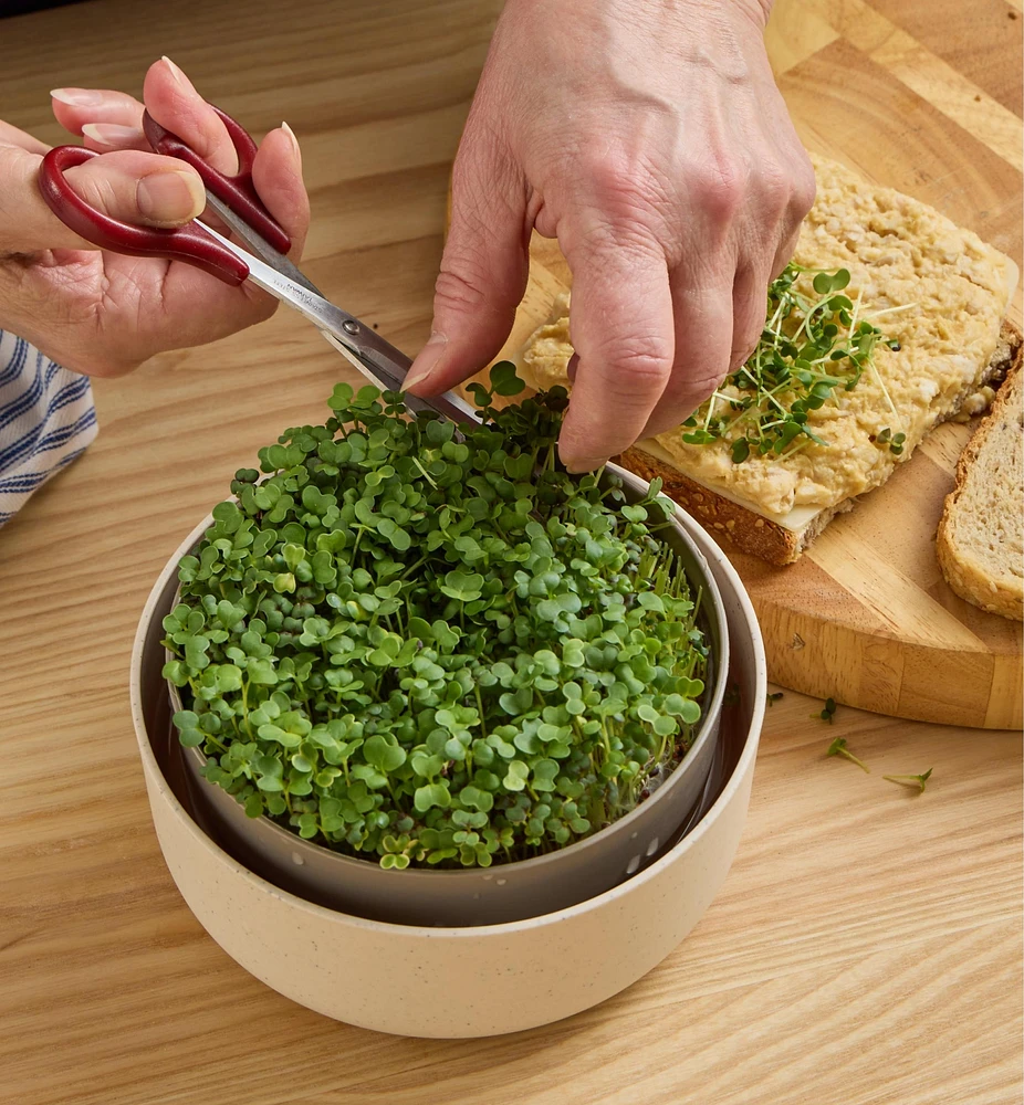 Microgreen Seed Sprouter