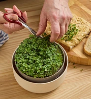 Microgreen Seed Sprouter