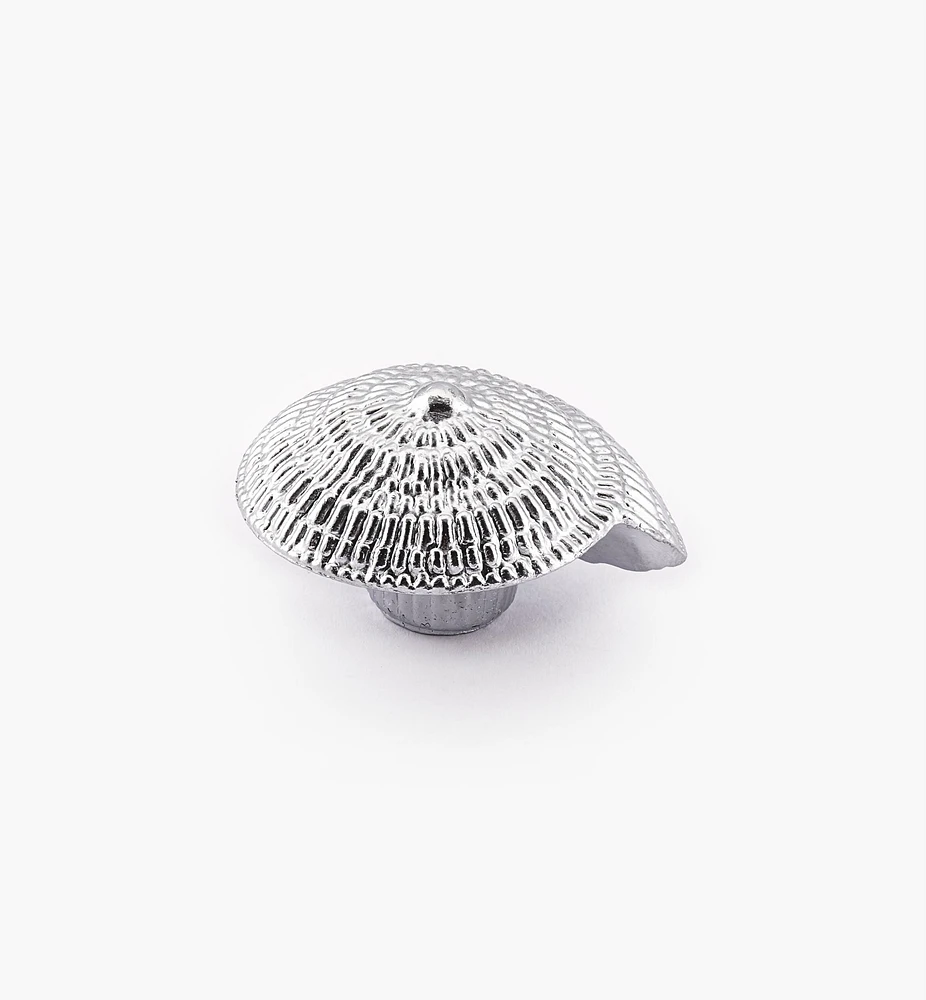 Seashell Knob