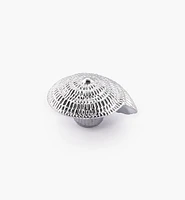 Seashell Knob
