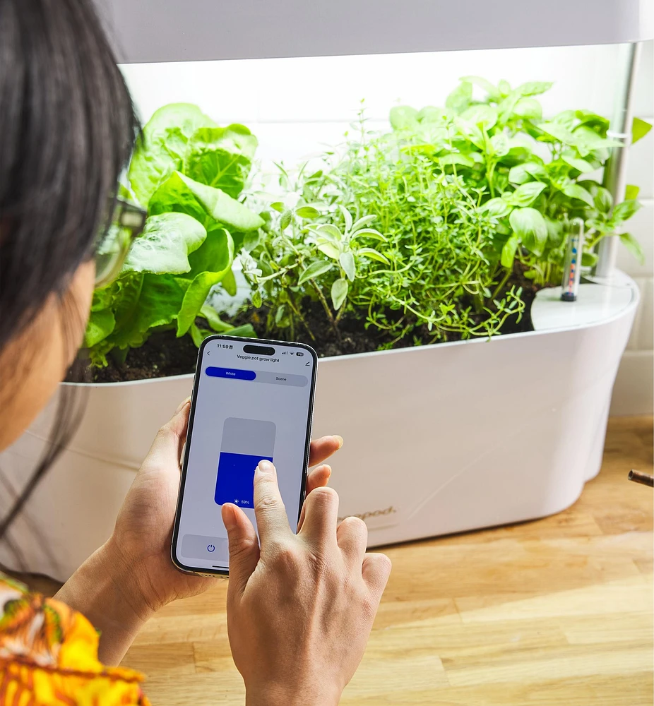 LED Grow Light & Planter