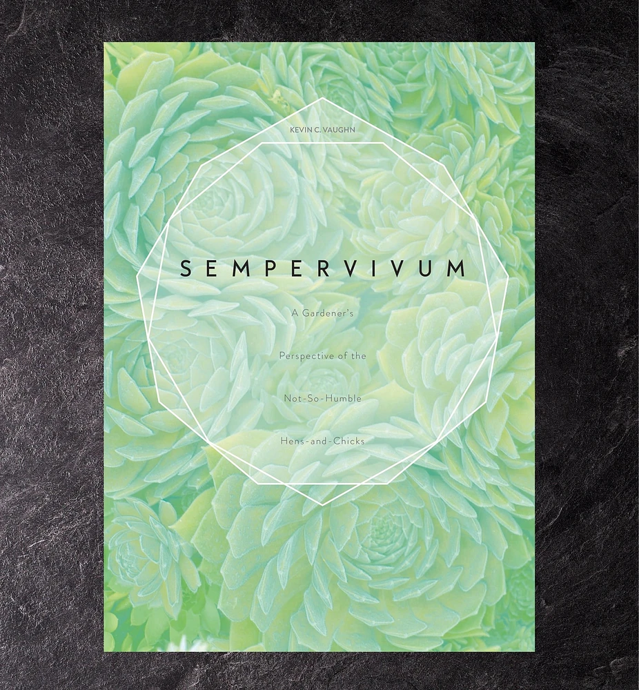 Sempervivum