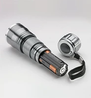 LED Flashlights