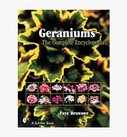 Geraniums