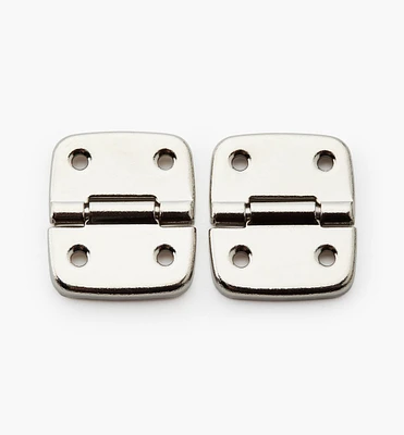 Case Hinges