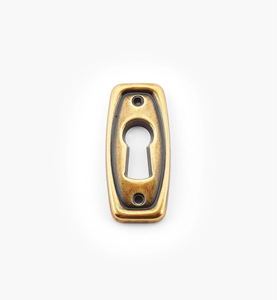Contemporary Escutcheon