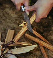 Bois gras allume-feu