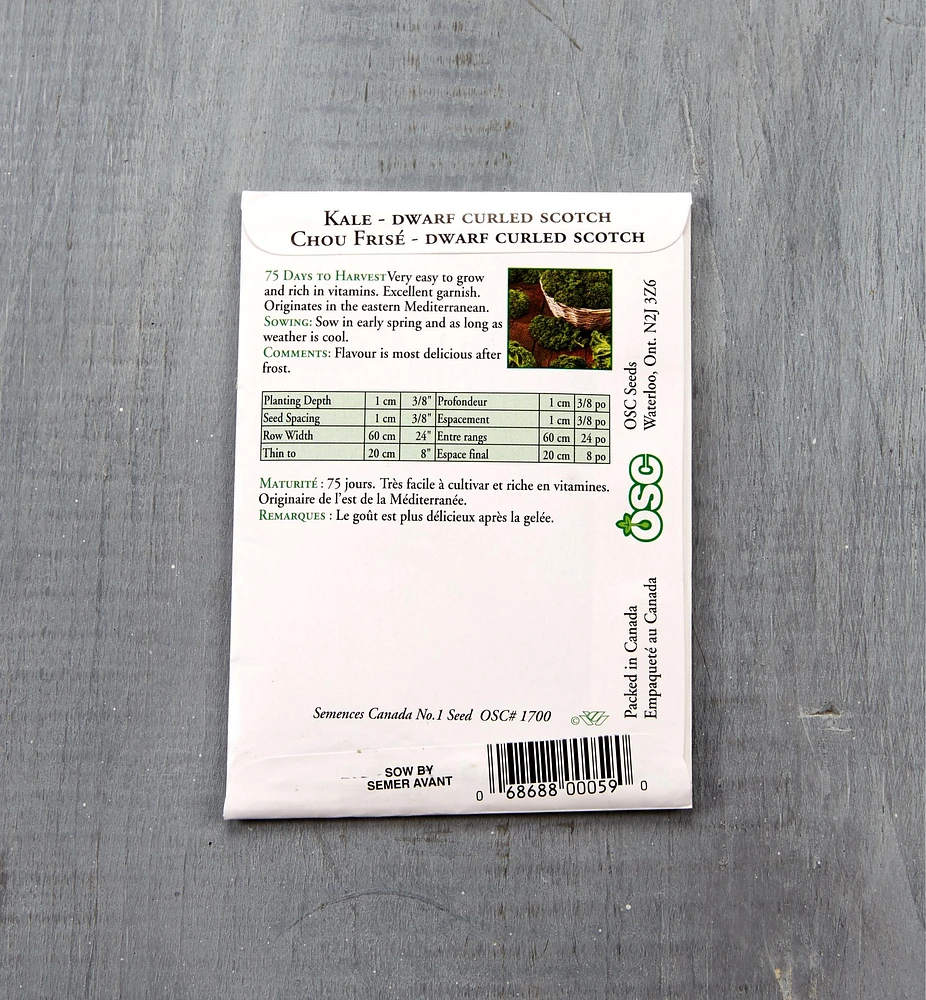 Sachet de semences de chou frisé OSC