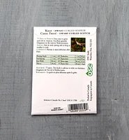 Sachet de semences de chou frisé OSC