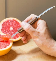 Grapefruit Knife