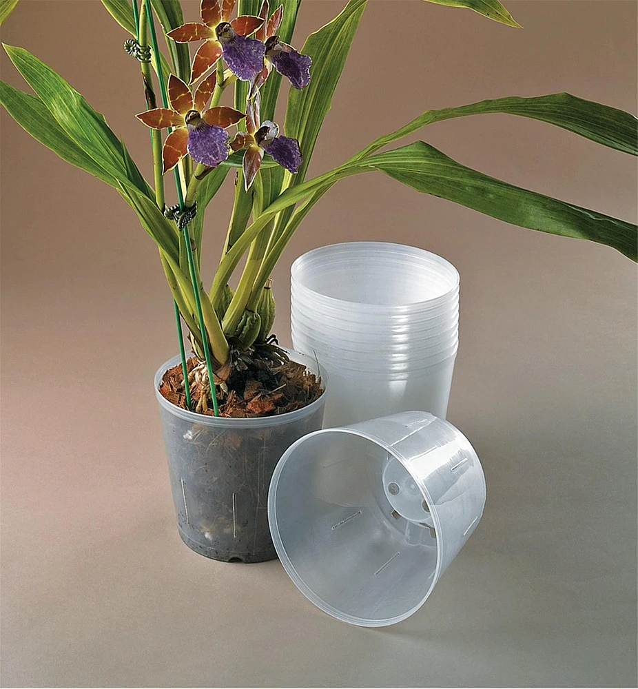 Pots transparents pour orchidées