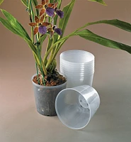 Pots transparents pour orchidées
