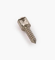 Axminster Small Woodturning Screw
