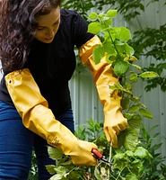Gants d'élagage
