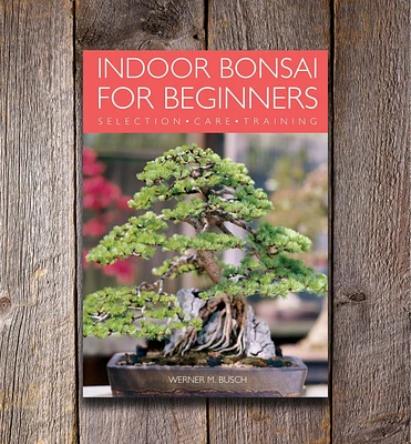 Indoor Bonsai for Beginners