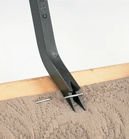Staple Lifter