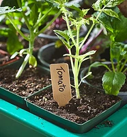 Wooden Markers