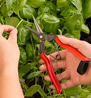 Cisaille de jardinage