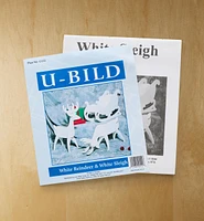 White Reindeer and White Sleigh Plan