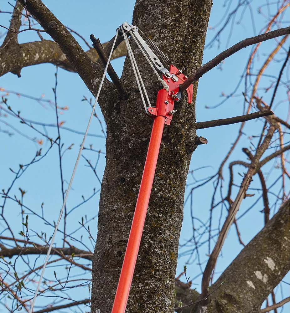 Pole Pruning Set