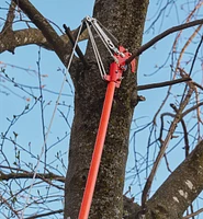 Pole Pruning Set