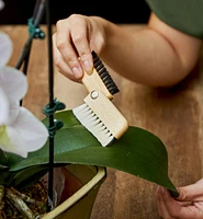 Detail Dusting Brush