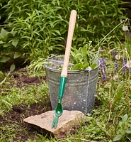 Lee Valley Dandelion Diggers
