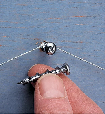 Wall Dog Screws